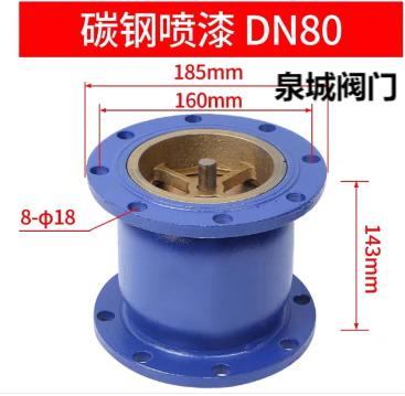 止回阀-立式铸钢DN80